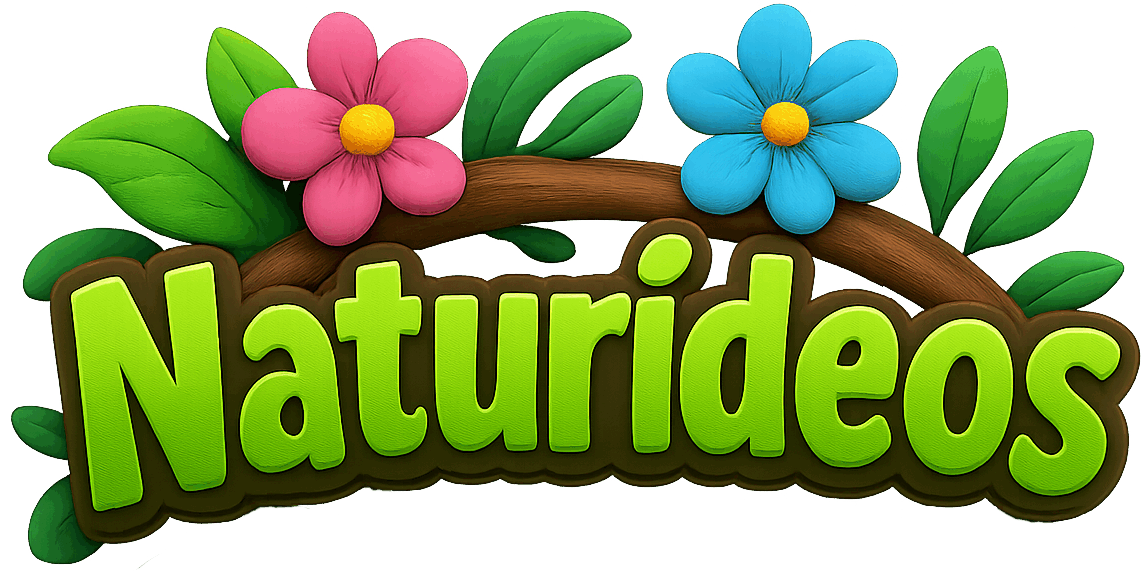 Naturideos